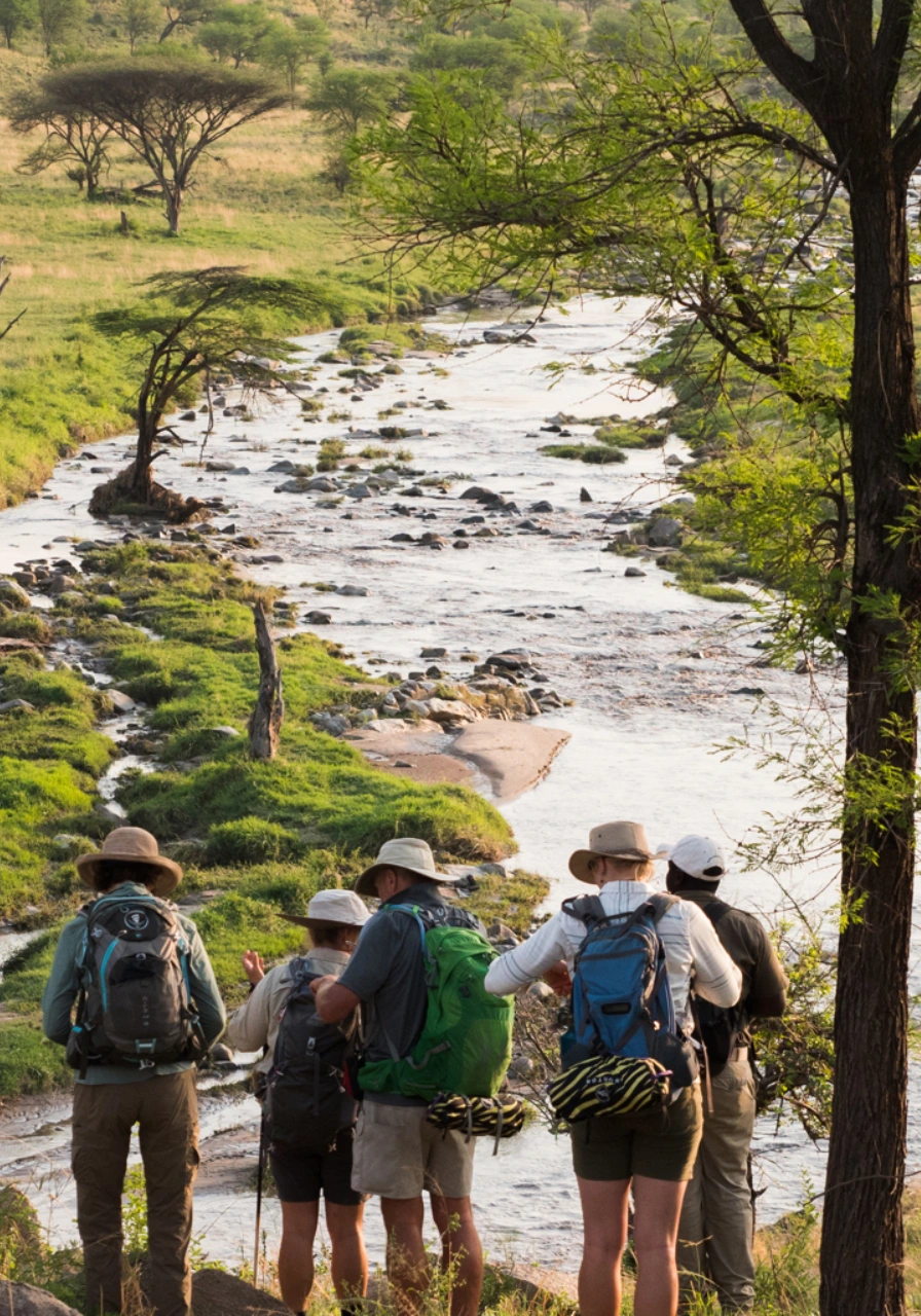 7-days-walking-and-classic-safari-4