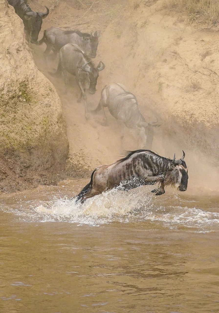 8-days-7-nights-skysafari-kenya-elewana-experience-2