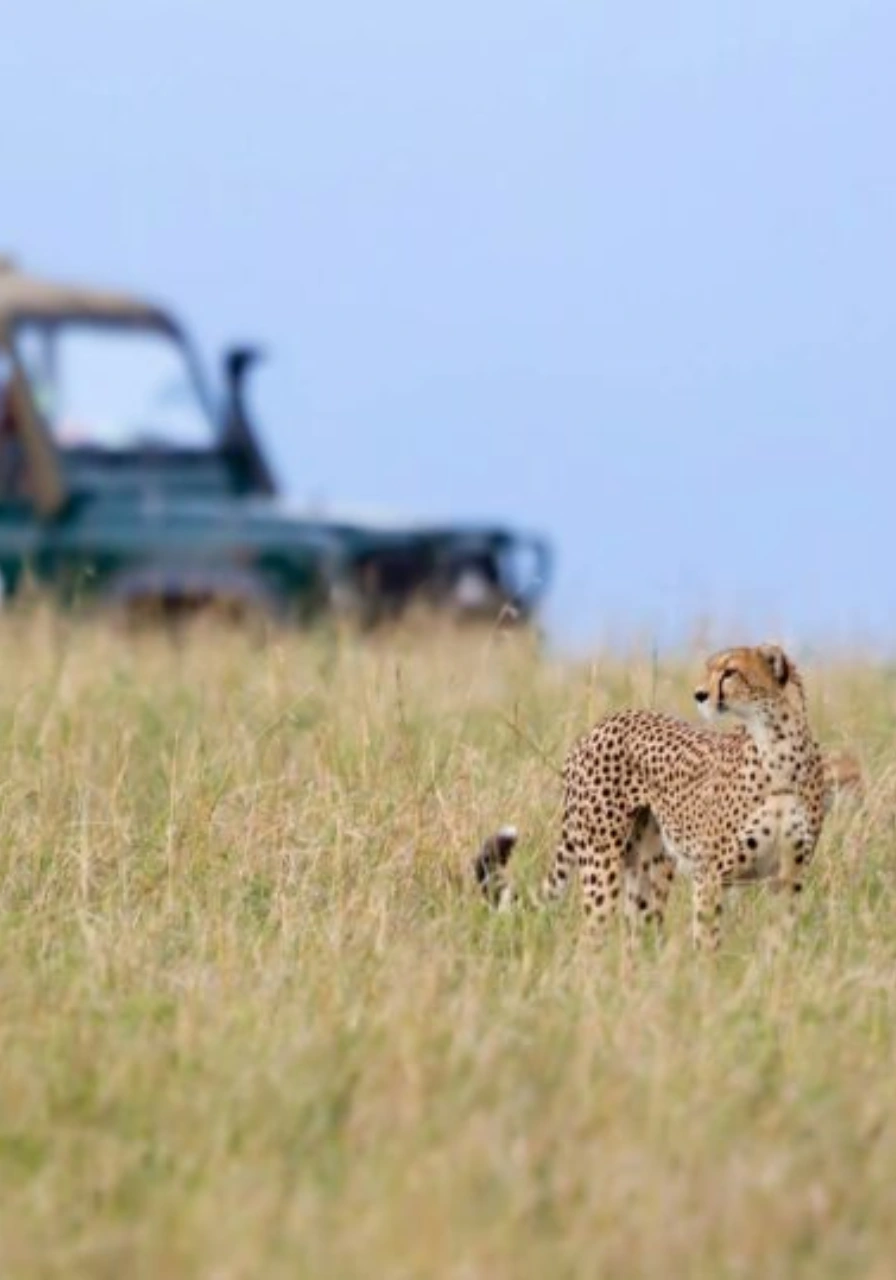 8-days-7-nights-skysafari-kenya-elewana-experience-3