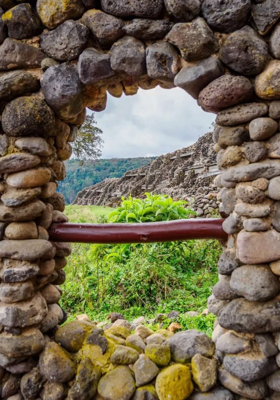 9-days-tanzania-birding-safaris-4