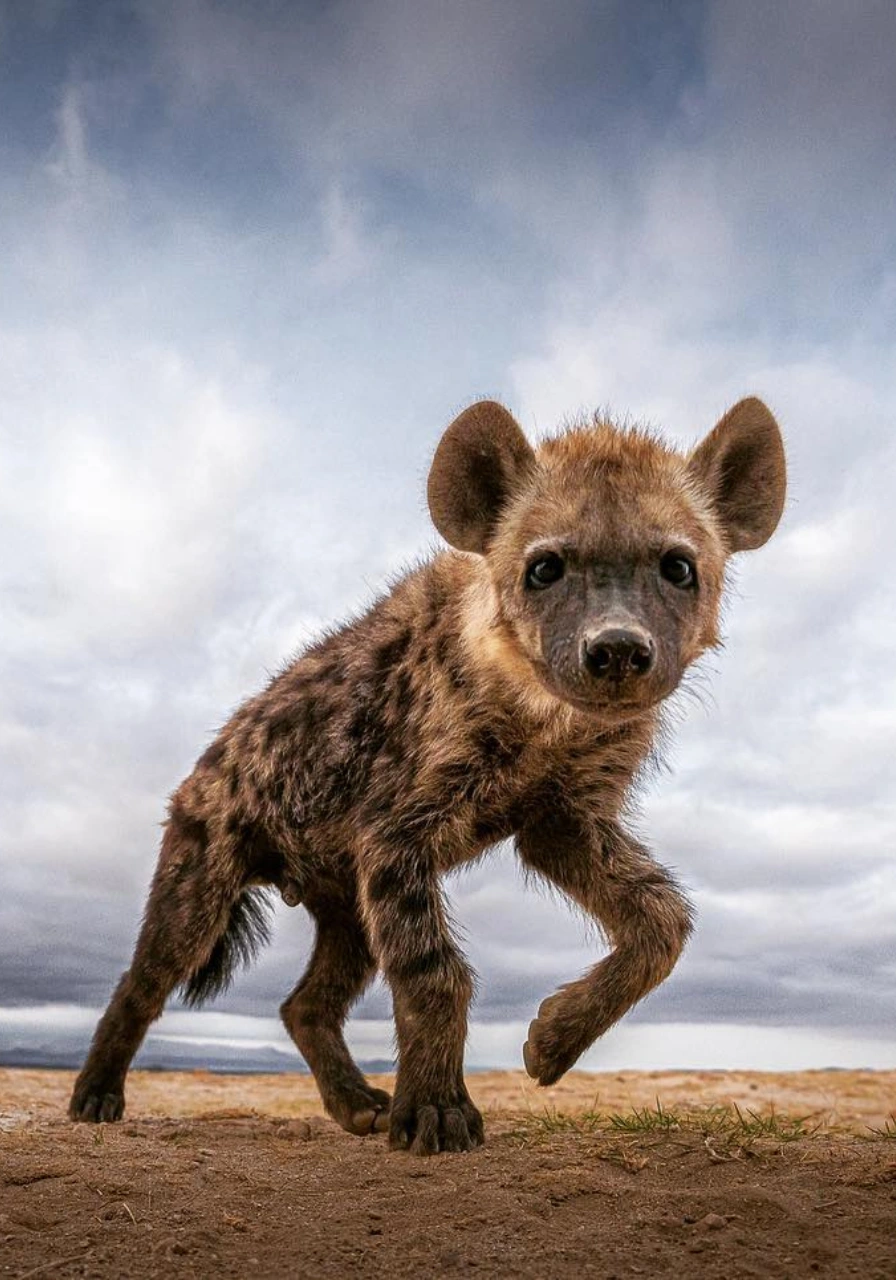 amboseli-national-park-8