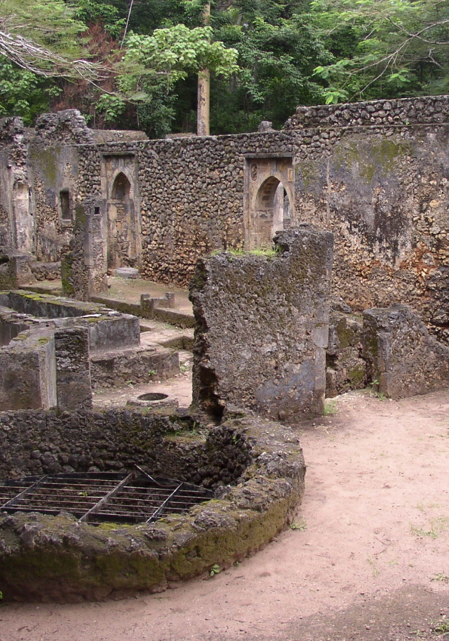 full-day-city-tour-mamba-village-5