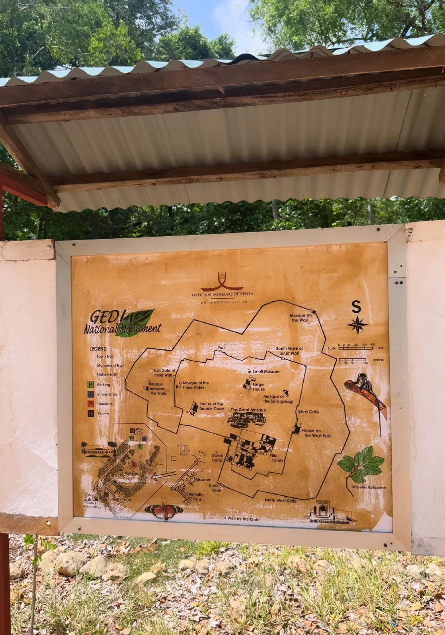 full-day-malindi-marine-and-gedi-ruins-5