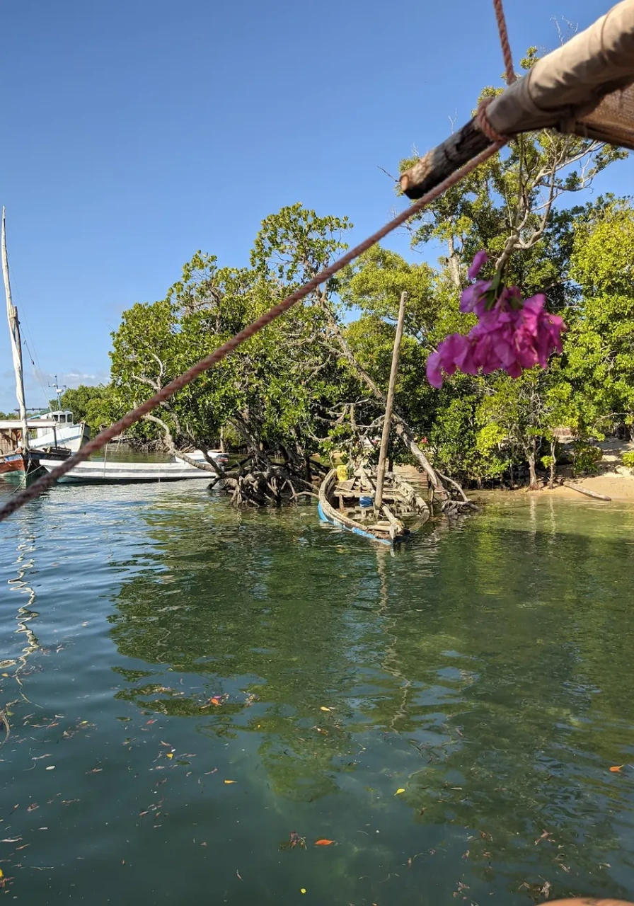 full-day-malindi-marine-and-gedi-ruins-8