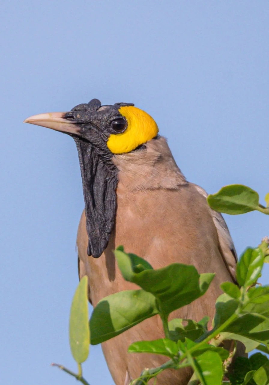 full-day-tsavo-east-2