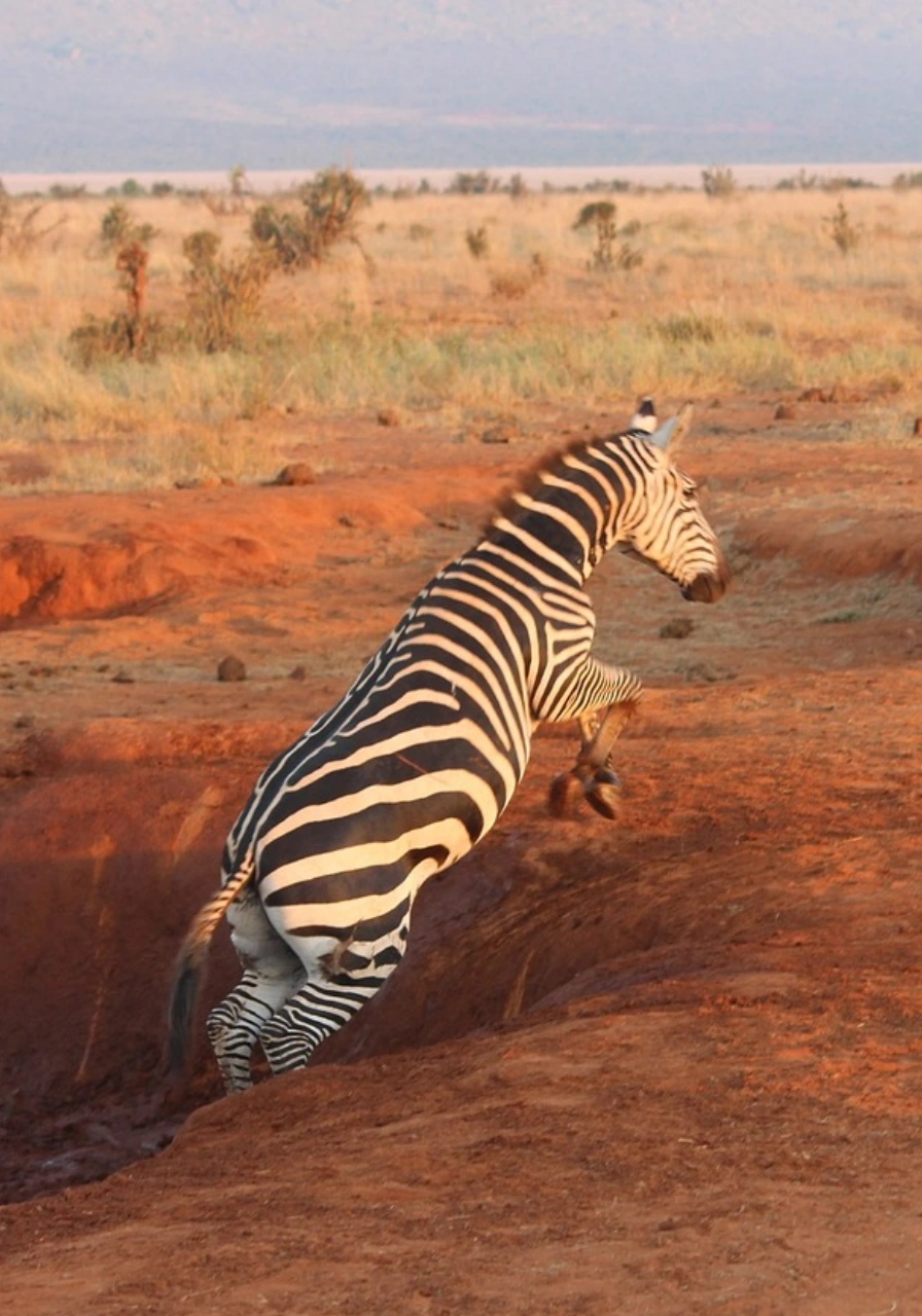 full-day-tsavo-east-4