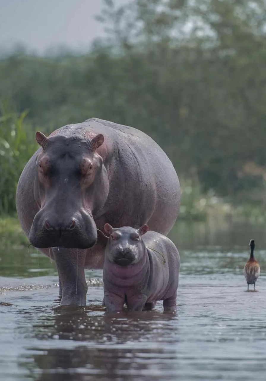 lake-mburo-national-park-5