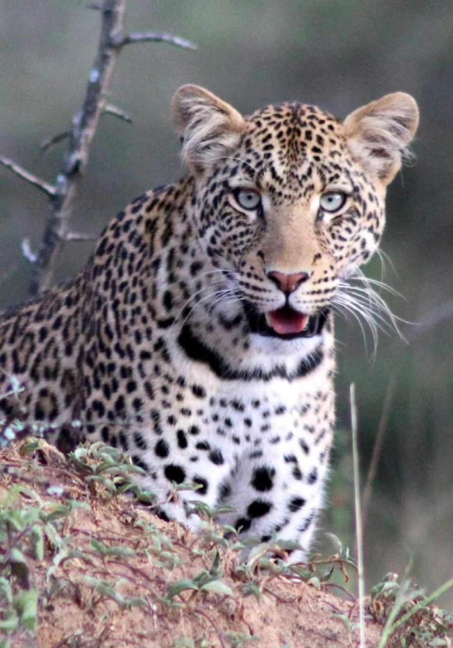 lake-mburo-national-park-6