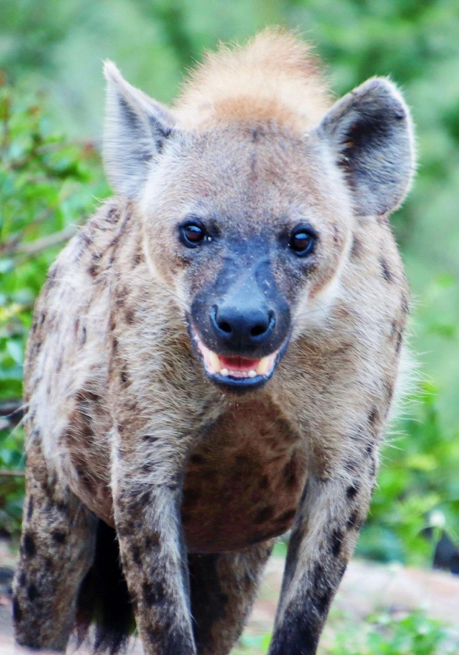 lake-mburo-national-park-7