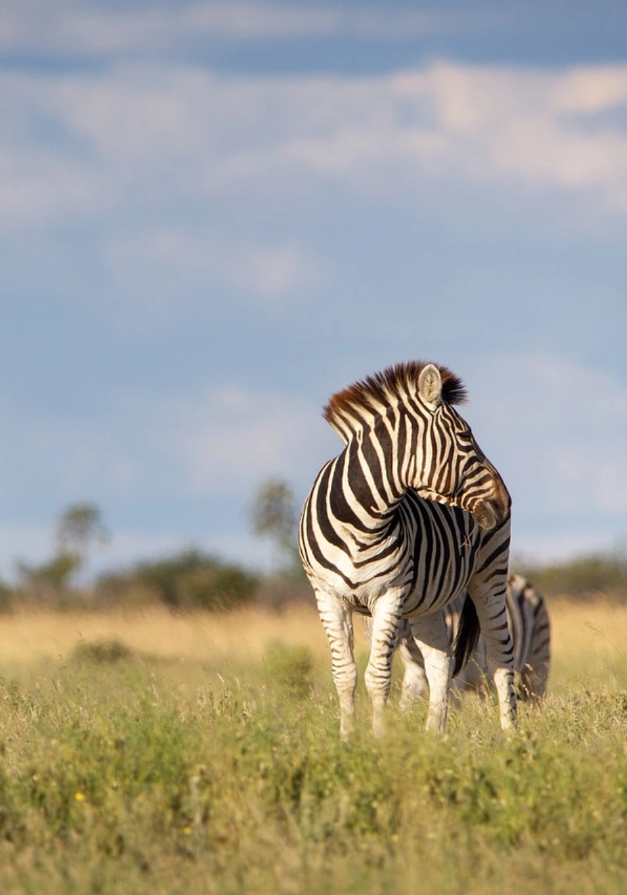 lake-mburo-national-park-8
