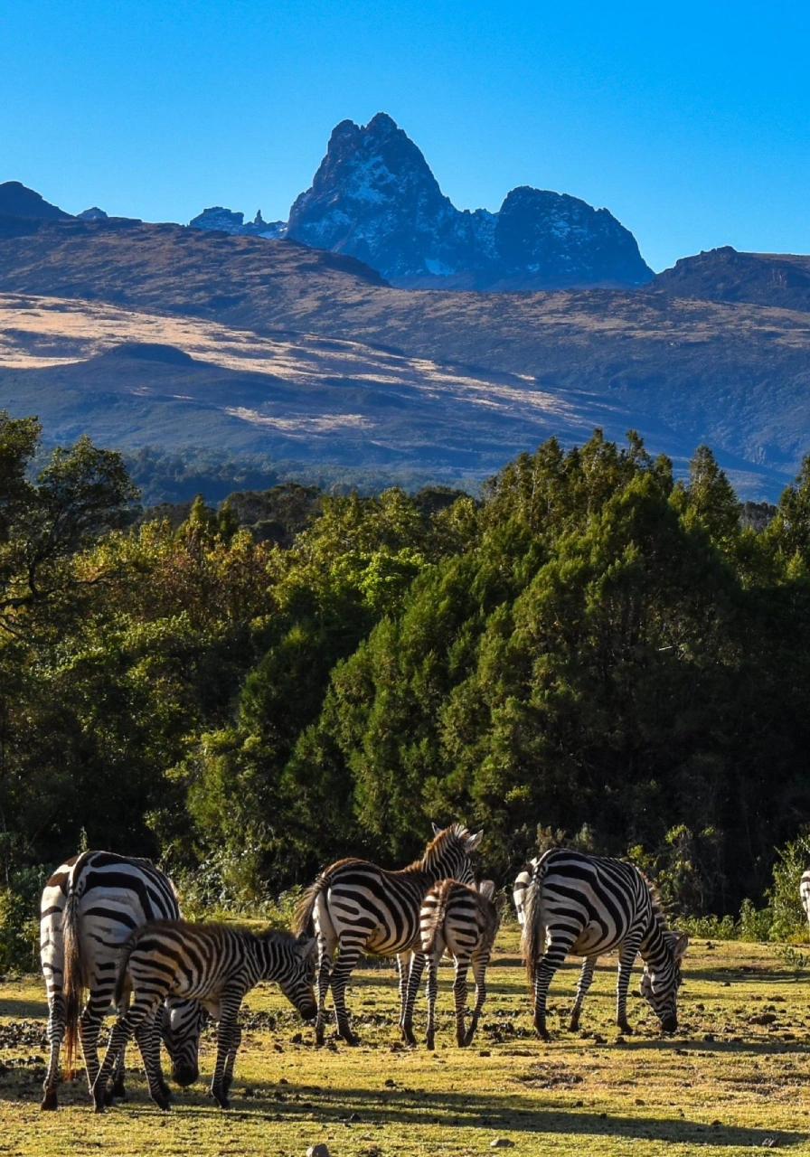 mt-kenya-national-park-10