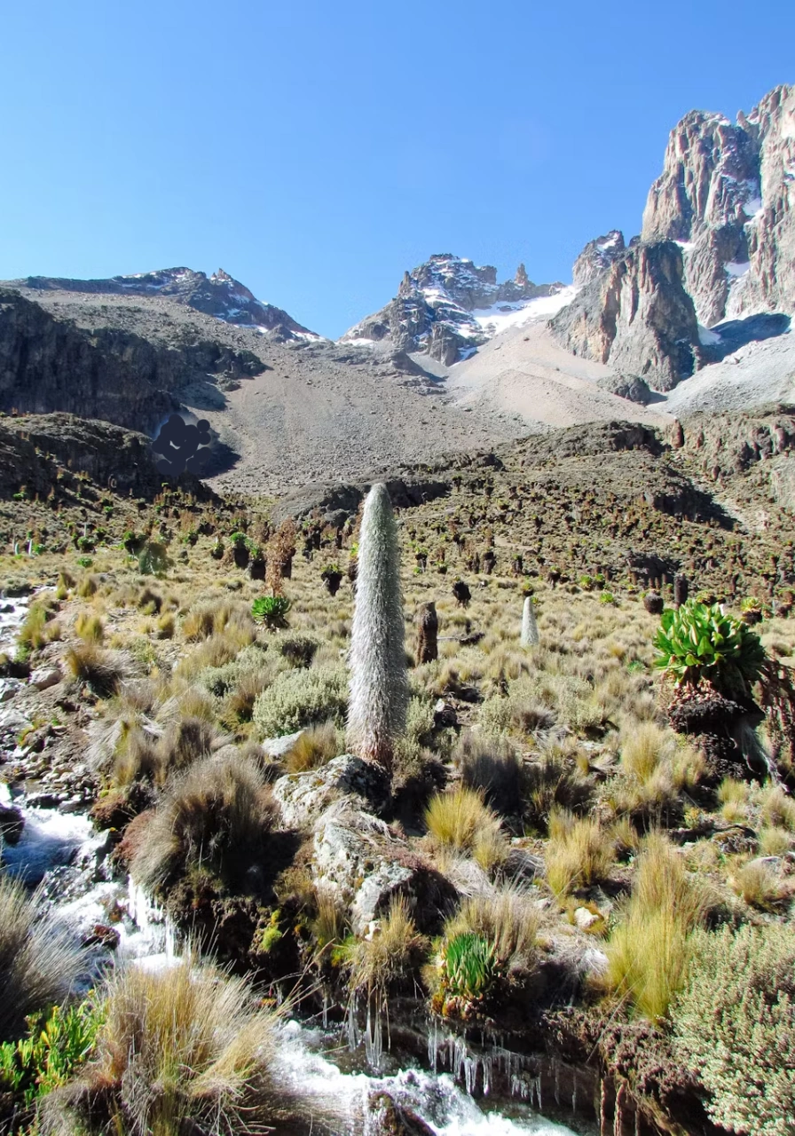 mt-kenya-national-park-6
