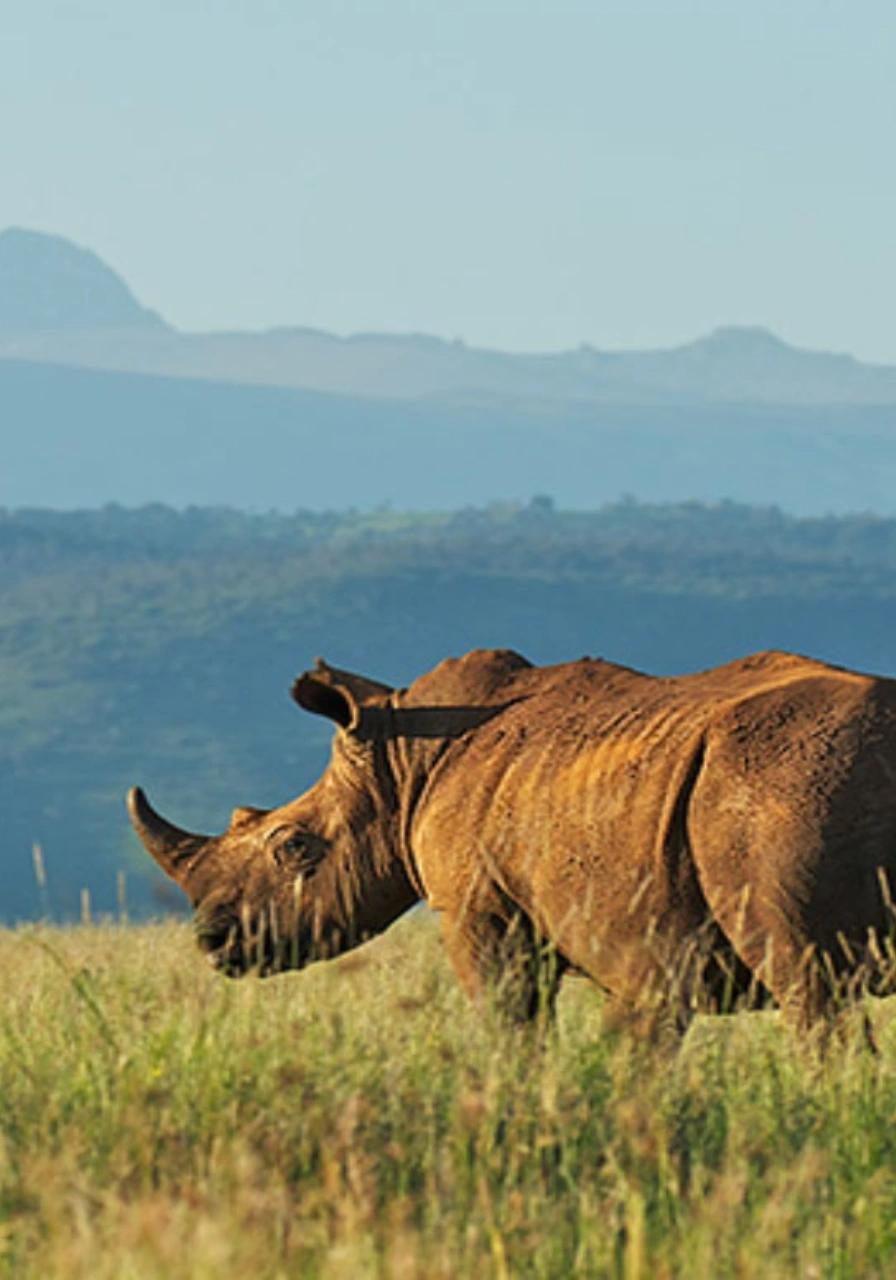mt-kenya-national-park-7