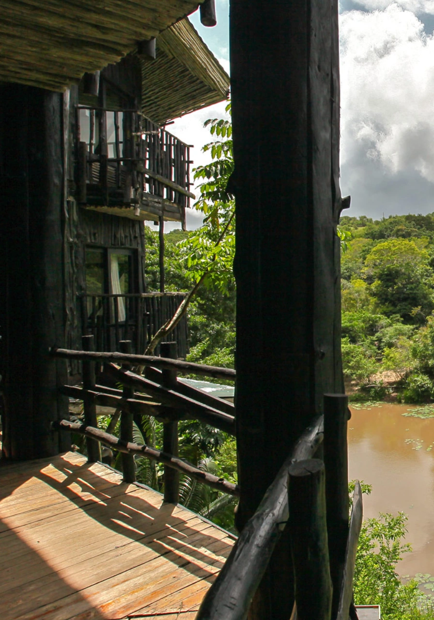 one-night-at-shimba-forest-lodge-2