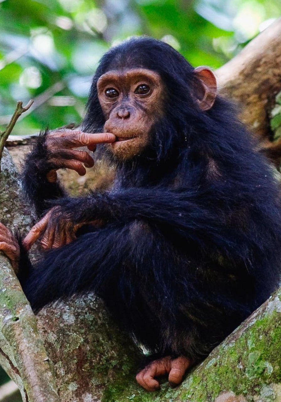 queen-elizabeth-national-park-7