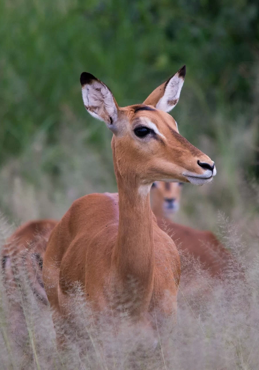 tanzania-destinations-2