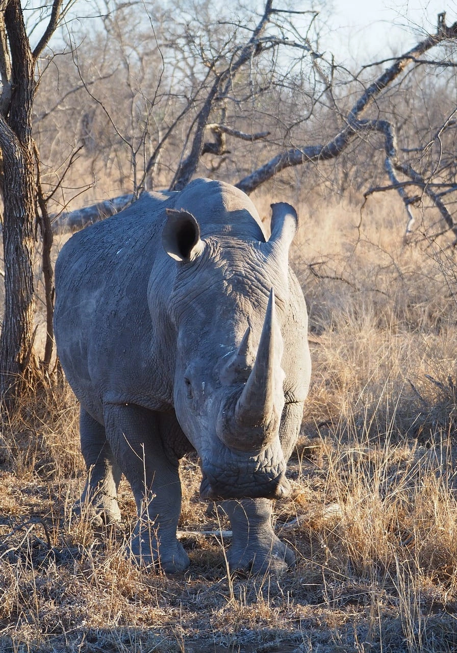 tanzania-destinations-3