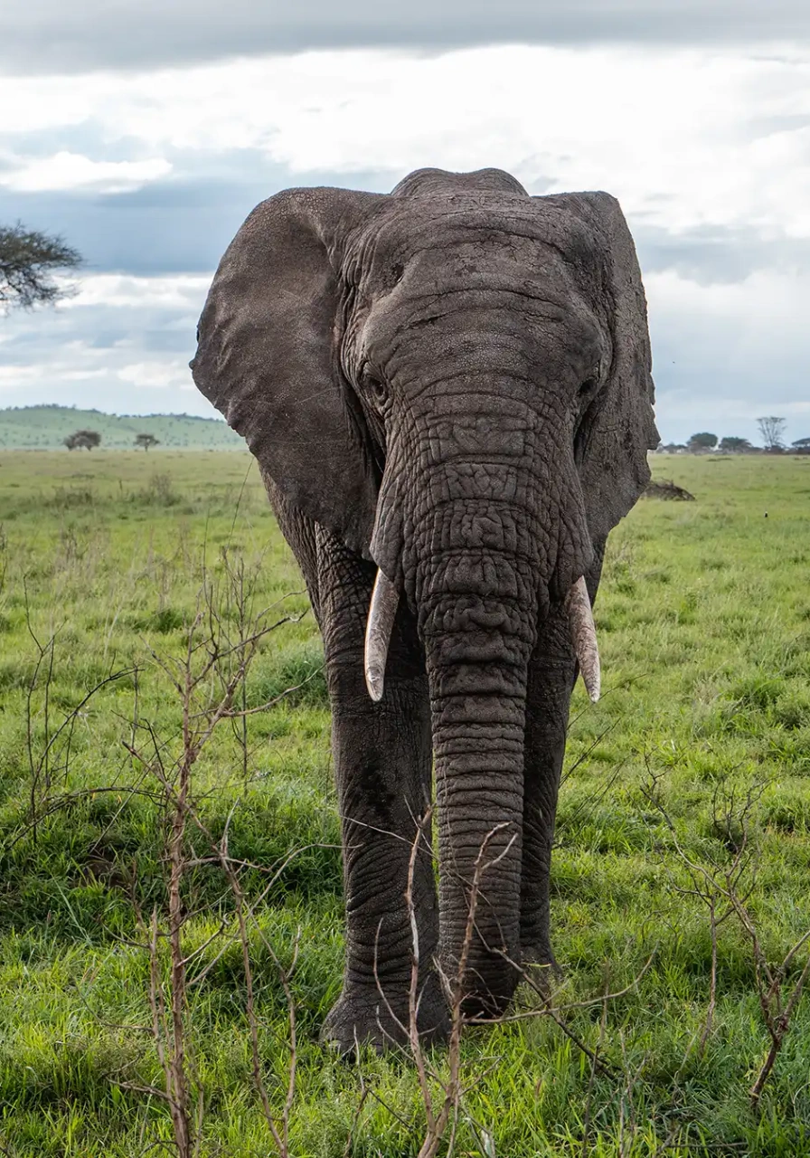 tanzania-destinations-5