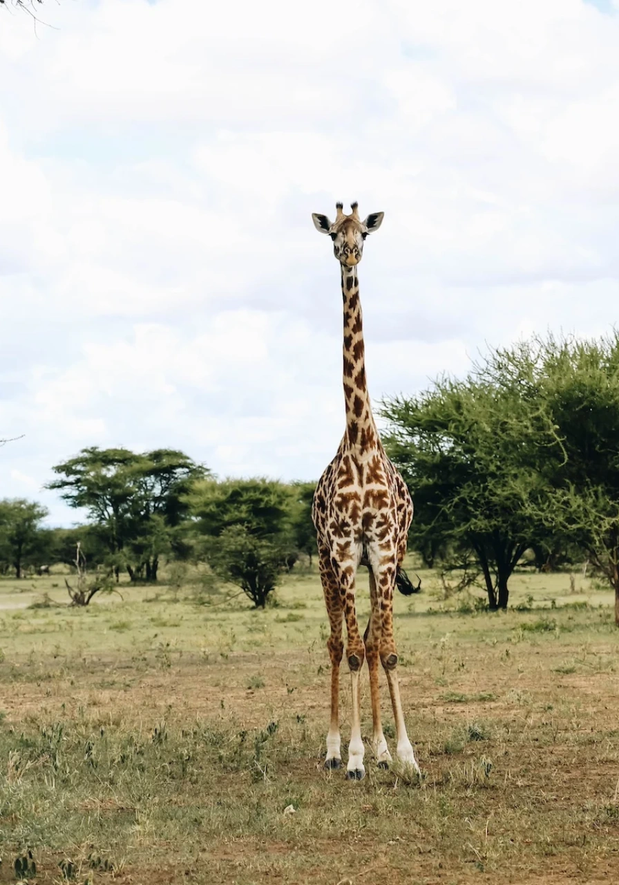 tanzania-destinations-6