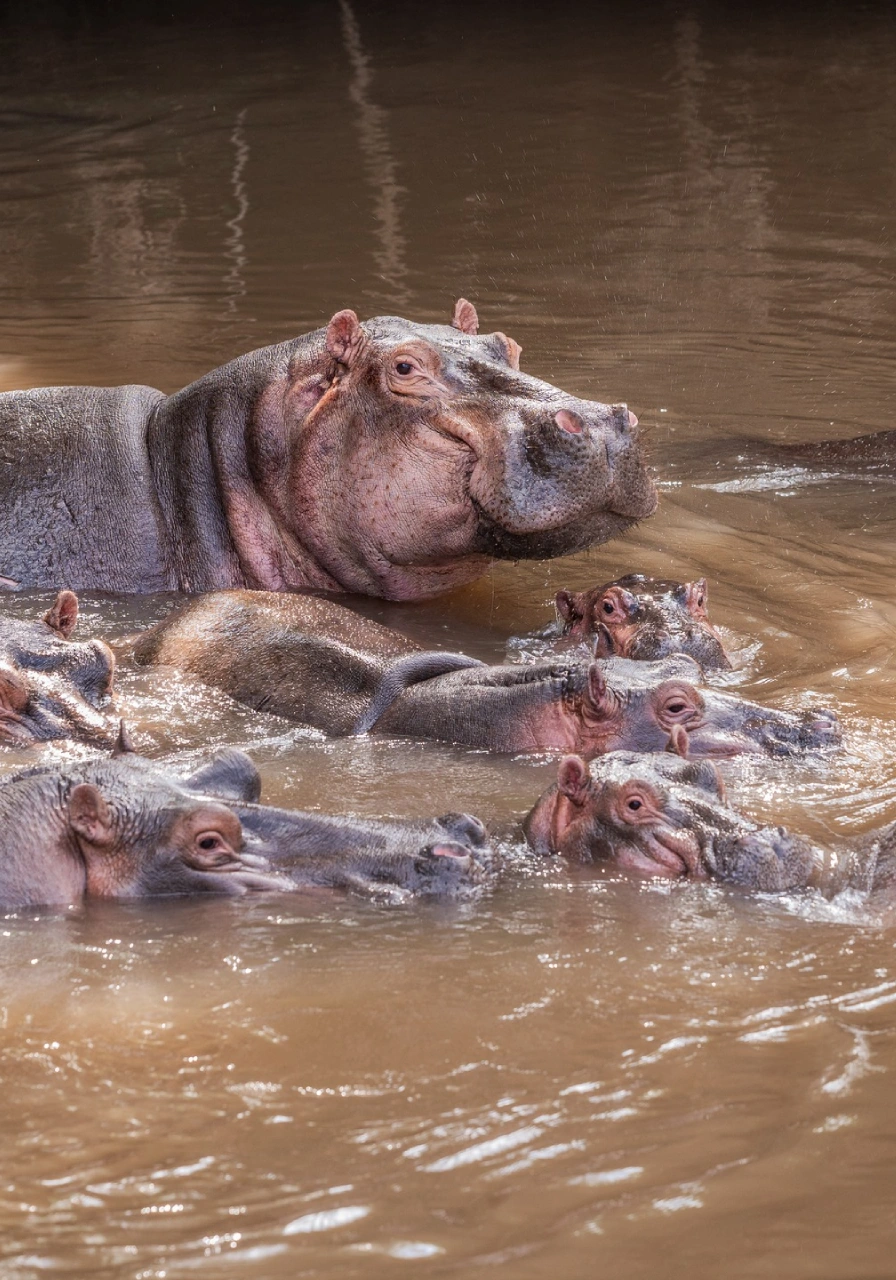 tsavo-west-national-park-10 (1)