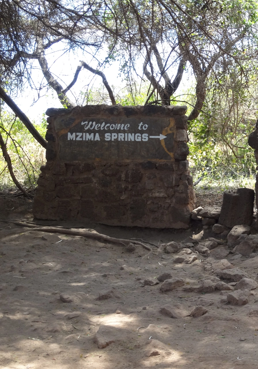 tsavo-west-national-park-5 (1)