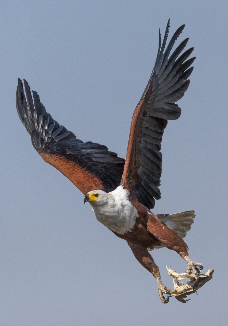 tsavo-west-national-park-6 (1)