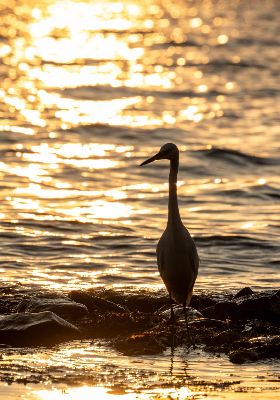 kisumu-impala-sanctuary-5