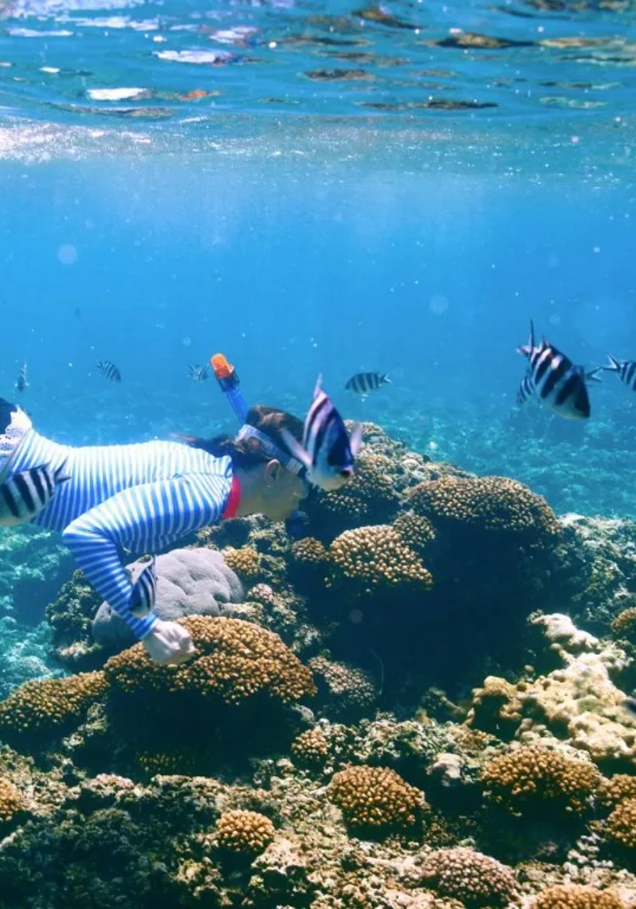 mombasa-marine-national-park-5