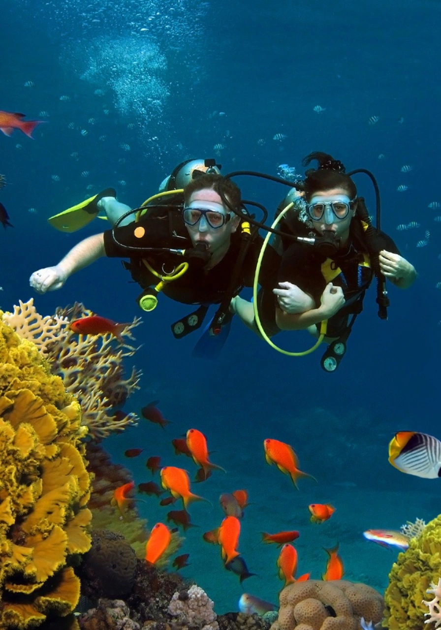 mombasa-marine-national-park-8