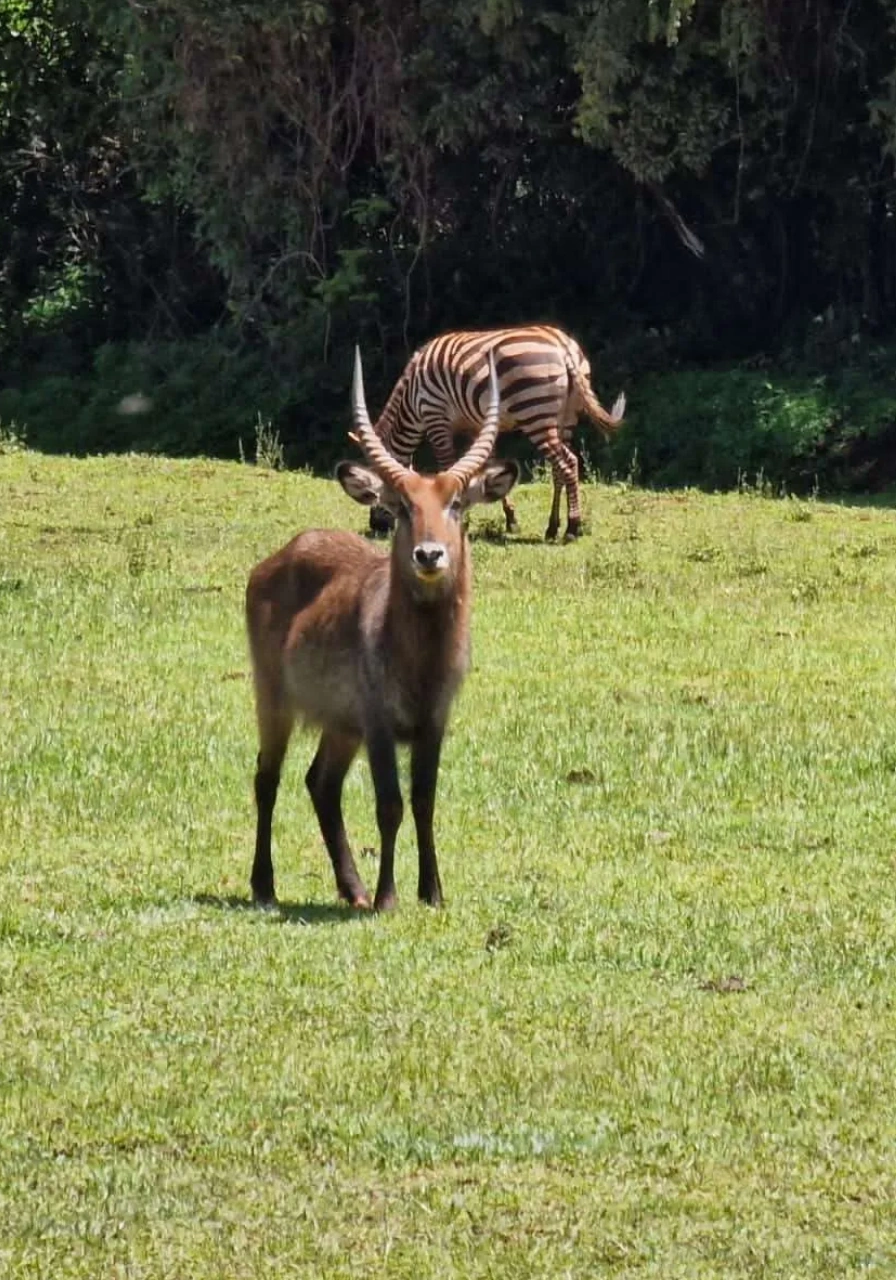 mount-elgon-national-park-5