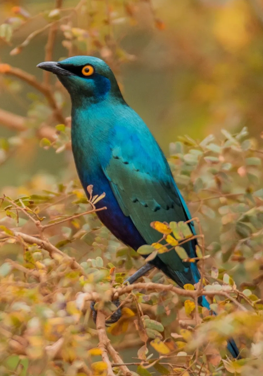 mount-elgon-national-park-8