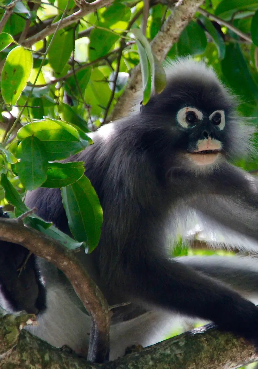 mount-elgon-national-park-9