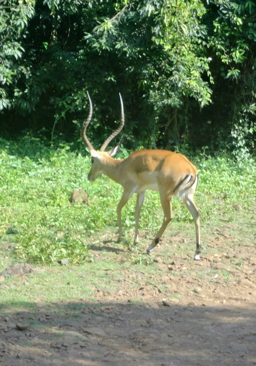 ndere-island-national-park-5