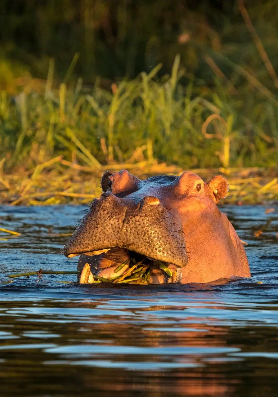 ndere-island-national-park-8
