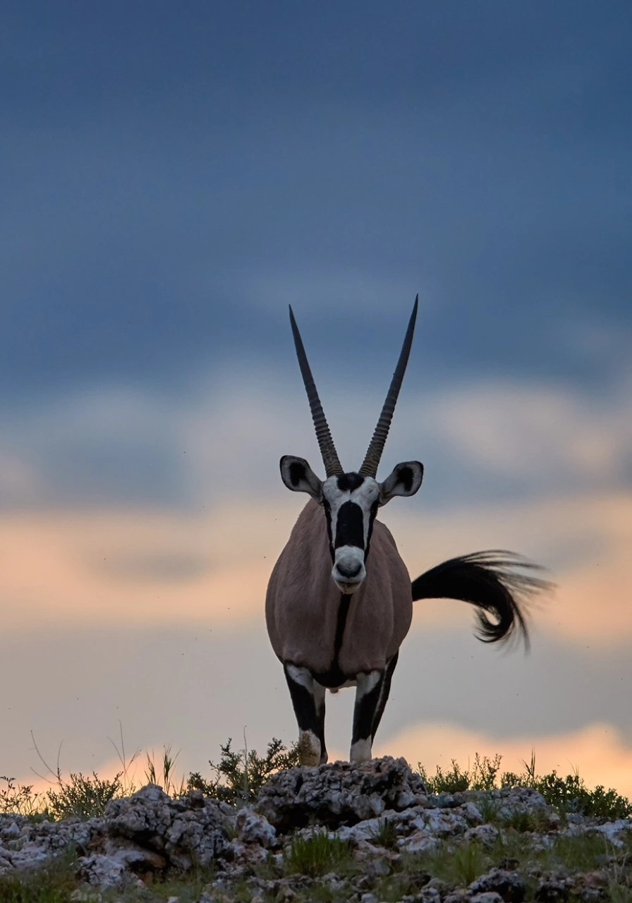 ndere-island-national-park-9