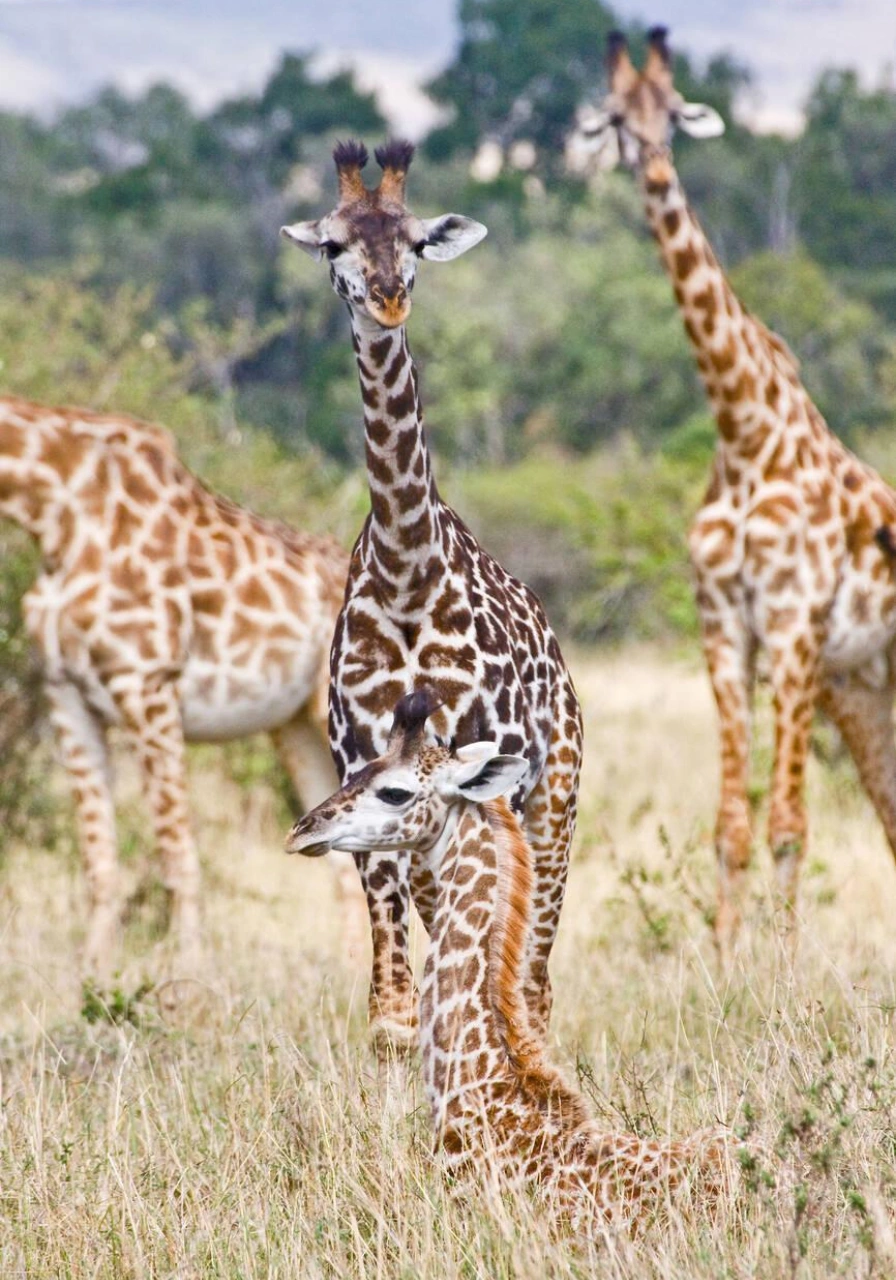 shimba-hills-national-reserve-10