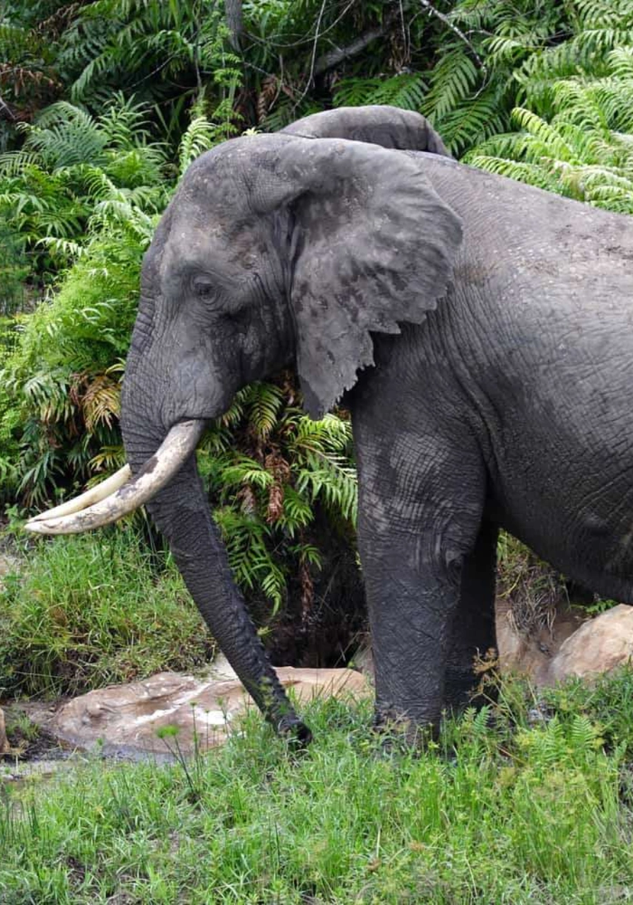 shimba-hills-national-reserve-6