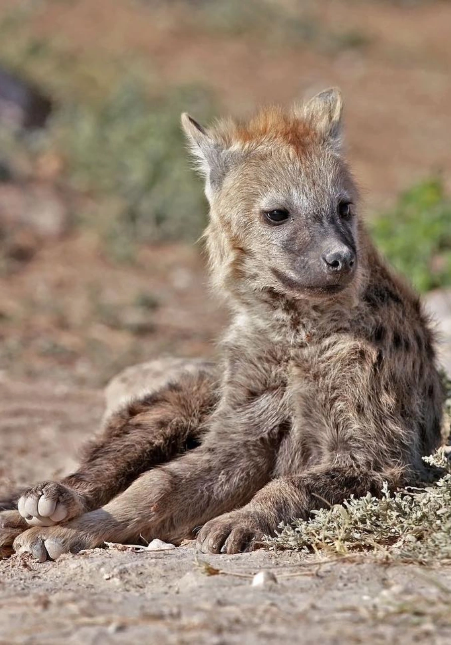 shimba-hills-national-reserve-7