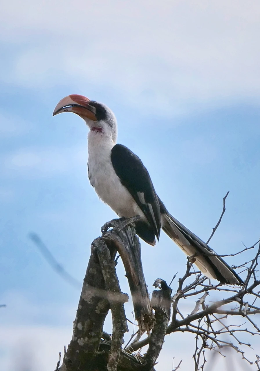 mwea-national-park-5