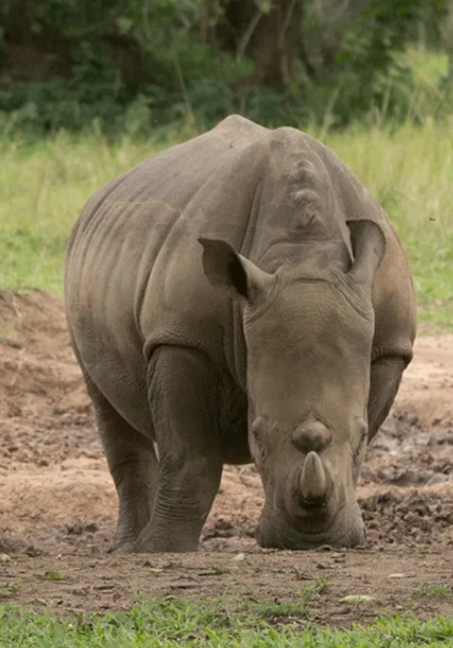 mwea-national-park-7