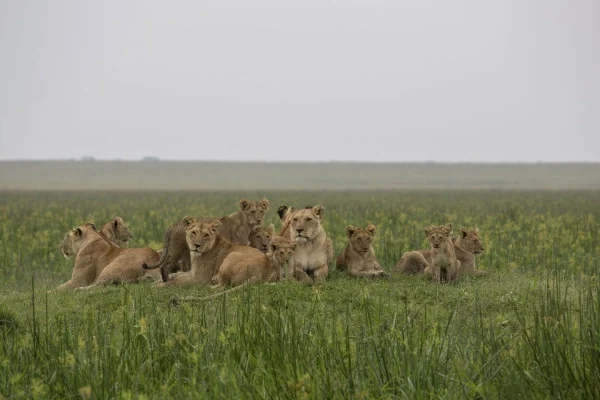 5 Days Kidepo Valley Experience