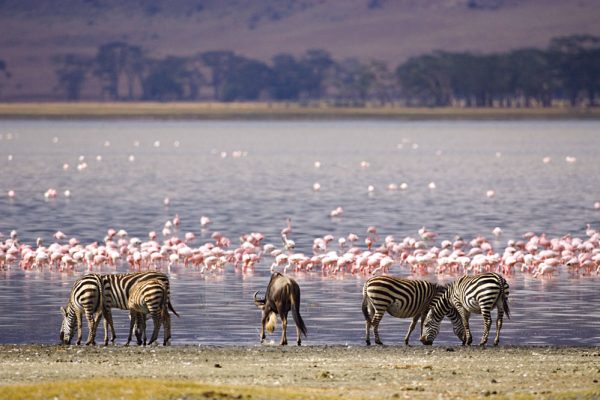 Lake-Nakuru-Kenya